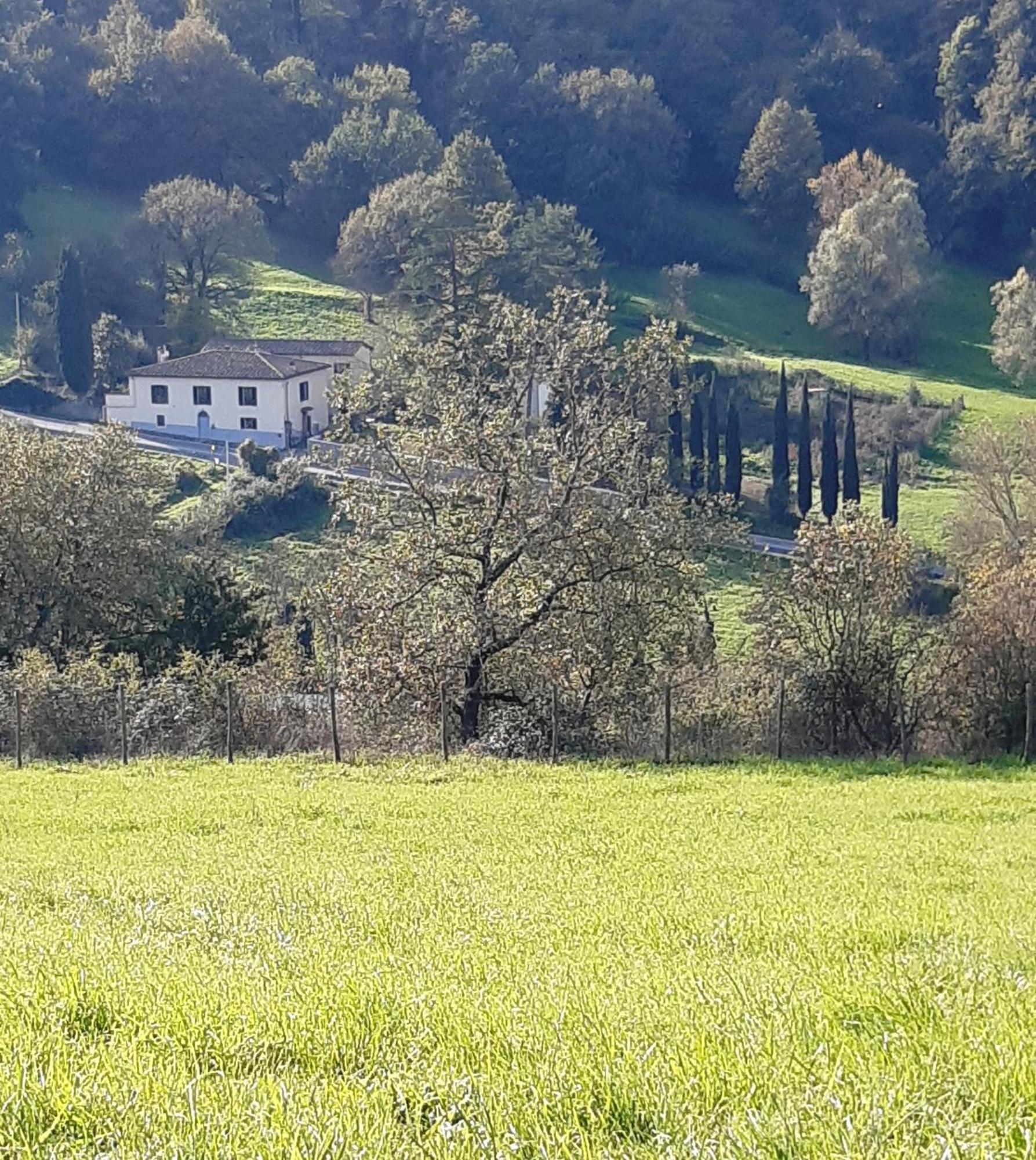 Casa Al Miglio Villa Pratolino Exterior foto